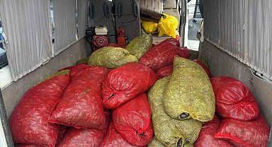 Samsun'da 1,5 ton kaçak midye ele geçirildi