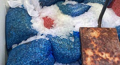 Samsun'da 1,5 ton kaçak midye ele geçirildi
