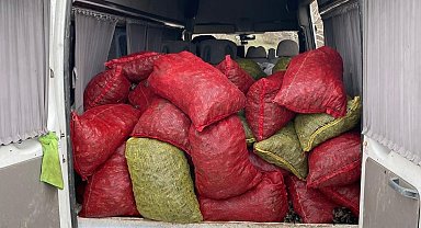 Samsun'da 2 ton kaçak midye ele geçirildi