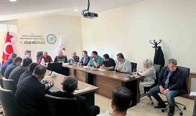 Samsun'da sahipsiz hayvanların toplanması görüşüldü
