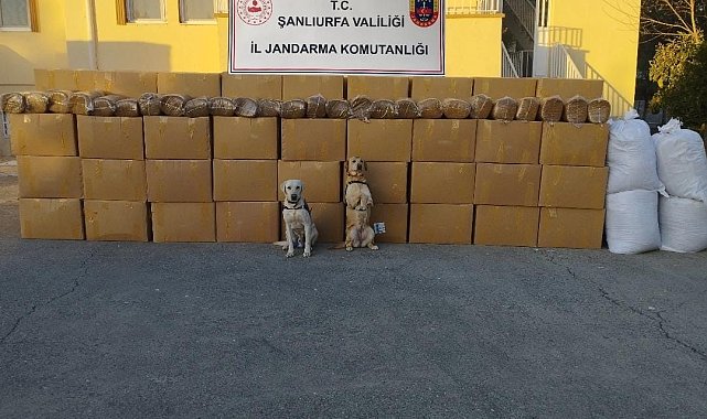 Şanlıurfa'da kaçak sigara ve tütün ele geçirildi