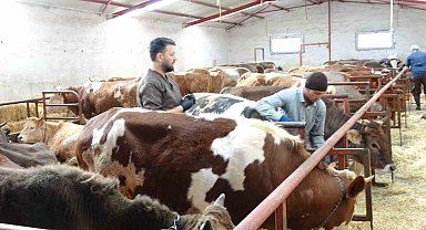 Şap aşısı yaptırmayan üreticiye 105 bin TL ceza uygulanacak