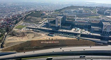 Şehir hastanesi bağlantı yoluna 200 Himalaya sediri dikildi