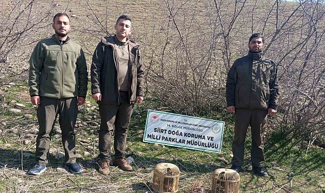 Siirt'te kaçak ava 28 bin lira ceza