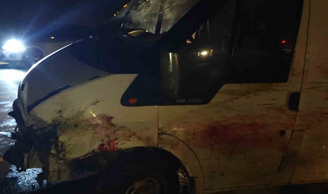 Siirt'te minibüs koyun sürüsüne daldı, 20'si telef oldu