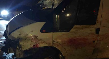 Siirt'te minibüs koyun sürüsüne daldı, 20'si telef oldu