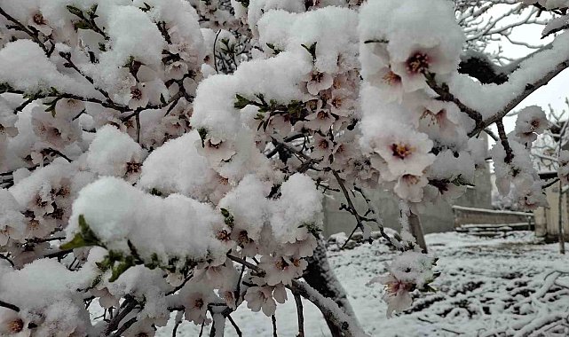 Sincik ilçesinde yoğun kar yağışı