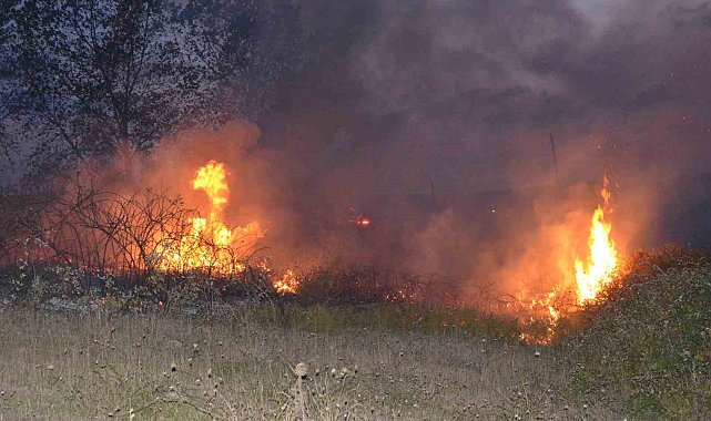 Sinop'ta örtü yangını