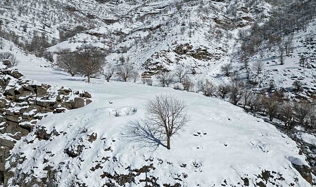 Şırnak'ta dağlar karla kaplı