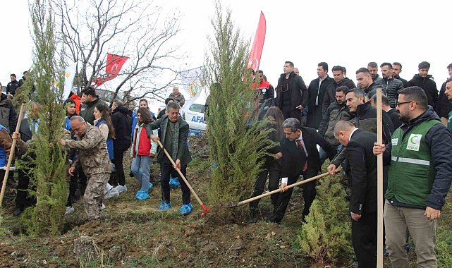 Şırnak'ta Dünya Ormancılık Günü kapsamında fidan dikimi yapıldı