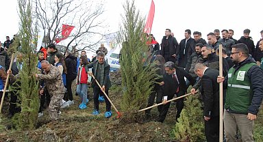 Şırnak'ta Dünya Ormancılık Günü kapsamında fidan dikimi yapıldı