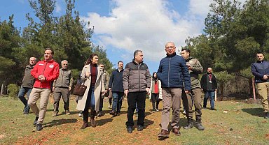 Sokak hayvanları için örnek proje