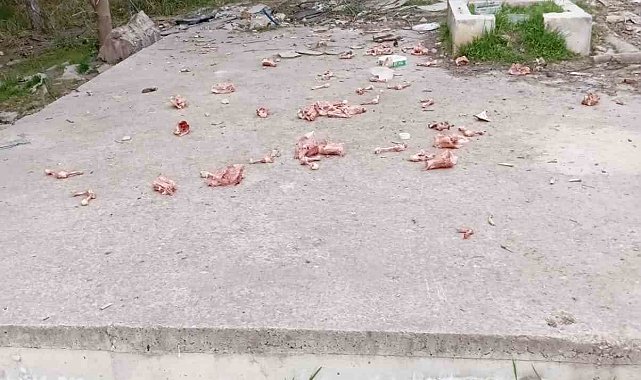 Sokaklara hayvanlar için atılan kokan ürünler vatandaşları çileden çıkarıyor