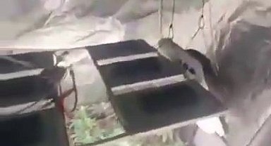 Sultanbeyli'de uyuşturucu operasyonu: Evi seraya dönüştürmüşler