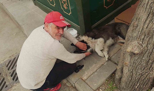 Taksi durağında sahiplendiği köpeğe çocuğu gibi bakıyor