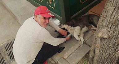 Taksi durağında sahiplendiği köpeğe çocuğu gibi bakıyor