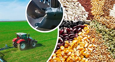 Tarımsal 3,3 milyar TL'ik destek hesaplarda