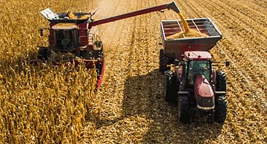 Tarımsal girdide en çok artış tohum ve dikim materyalleri