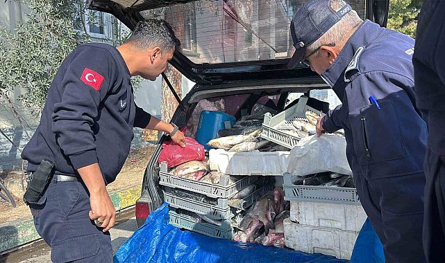 Tarsus'ta sağlıksız şartlarda ele geçirilen 750 kilo balık imha edildi