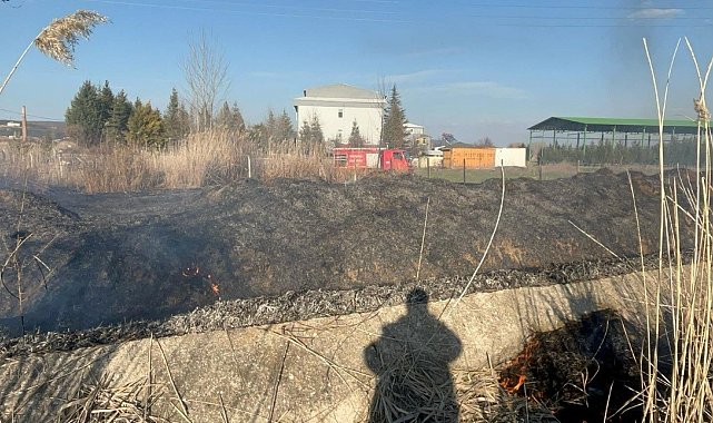 Tavşanlı'da otluk alanda korkutan yangın