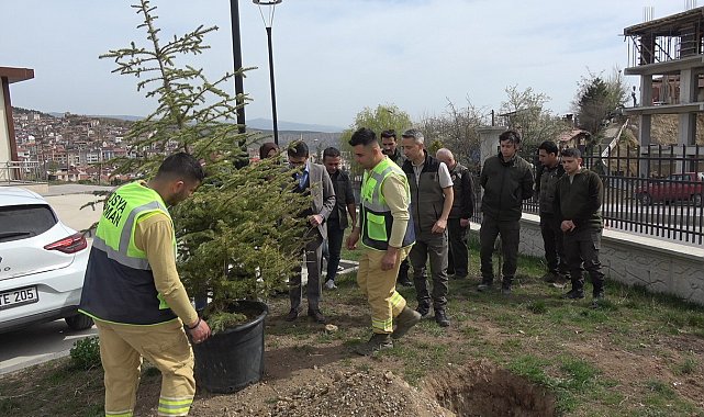 Tosya Adalet Sarayı bahçesinde fidanlar toprakla buluşturuldu