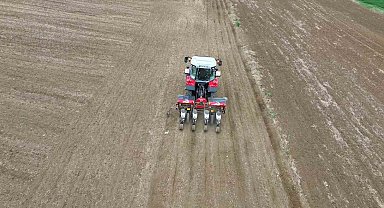 Türkiye'nin ayçiçeği ambarında ekim vakti