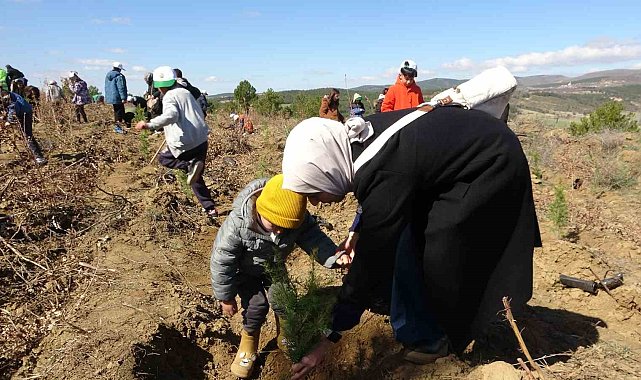 Uşak'ta 3 bin 200 adet fidan toprakla buluştu