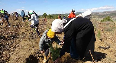 Uşak'ta 3 bin 200 adet fidan toprakla buluştu