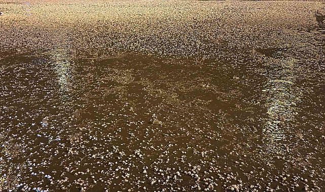 Uşak'ta dolu yağışı etkili oldu