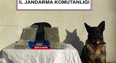 Uyuşturucu tacirleri otobüste yakalandı