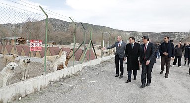 Vali Işın ve Başkan Kahveci sokak hayvanları için oluşturulan doğal yaşam alanını inceledi