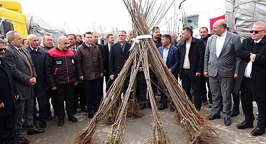Van'da 640 bin adet fidan dağıtıldı