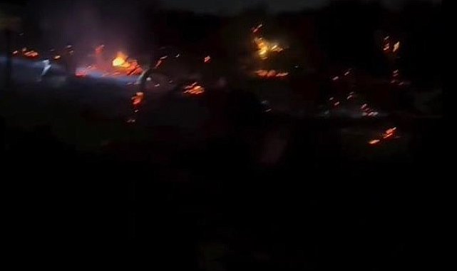 Yalova'da orman yangını