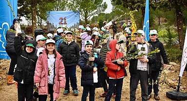 Yalova'da yanan 25 dönümlük orman alanı ağaçlandırıldı