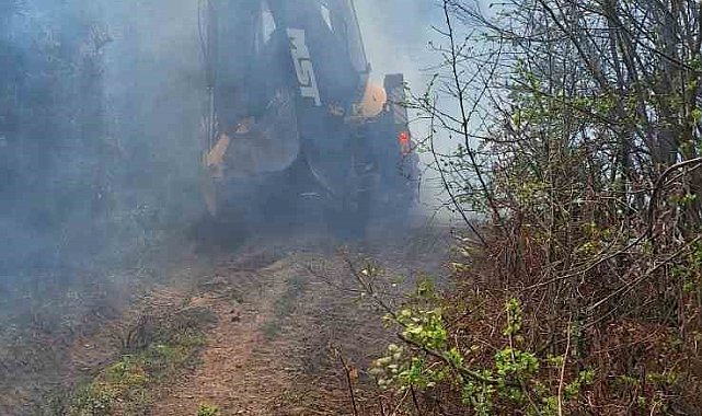 Yalova'daki orman yangını kontrol altına alındı