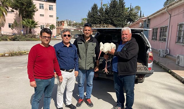 Yaralı leylek ormancılar tarafından kurtarıldı