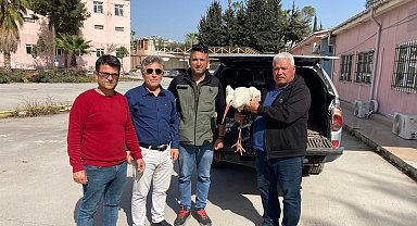 Yaralı leylek ormancılar tarafından kurtarıldı