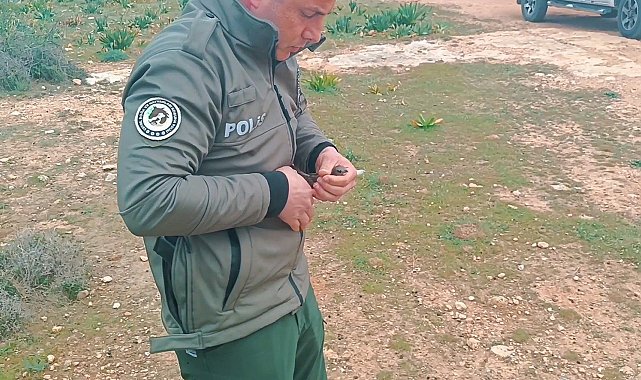 Yaralı ve bitkin bulunan Ebabil kuşu koruma altına alındı
