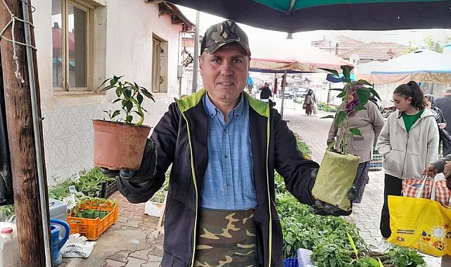 Yazlık sebzelerin fide satışlarına başlandı