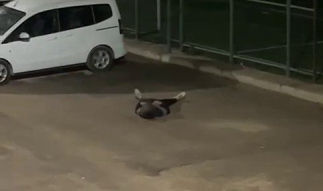 Yere yığılan şahıs hastaneye kaldırıldı