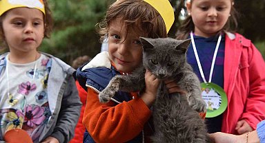 Yıldırım'da 625 patili dost sıcak yuvaya kavuştu