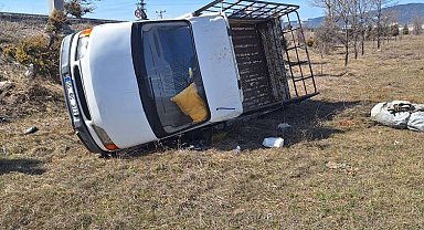 Yoldan çıkan kamyonet tarlaya uçtu: 2 yaralı