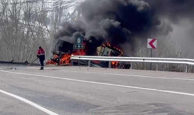 Yoldan çıkıp devrilen tır alev alev yandı