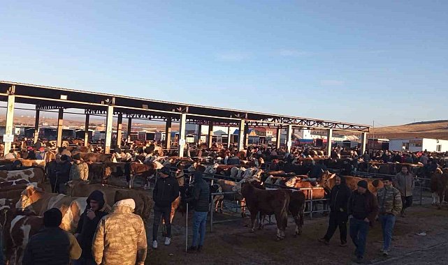 Yozgat'ta geçici olarak kapatılan hayvan pazarları yeniden açıldı