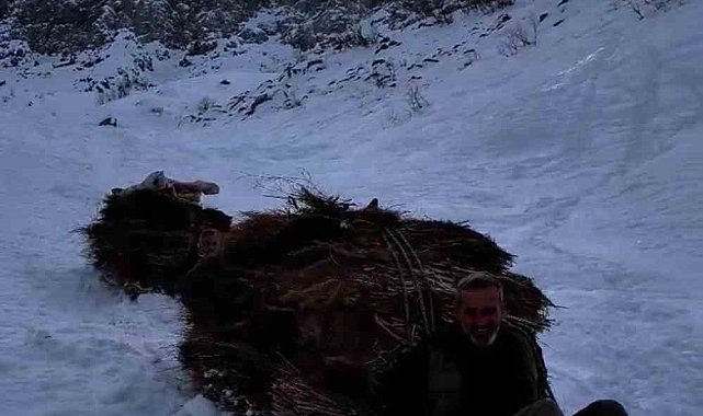 Yüksekova'da çiftçilerin zorlu kış mesaisi: 3 bin rakımdan kızak ve branda üzerinde otları indirdiler
