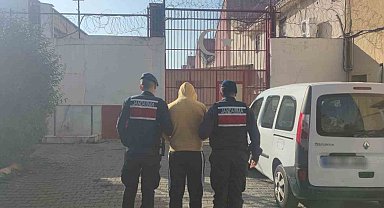 Zeytinyağı hırsızları jandarmadan kaçamadı