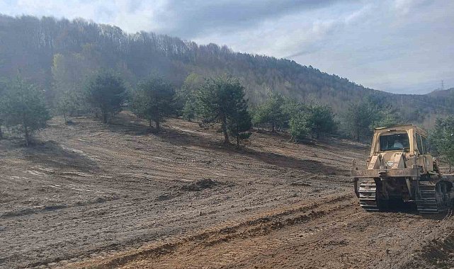 Zonguldak'ta sokak hayvanları için çalışmalar hız kazandı