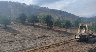 Zonguldak'ta sokak hayvanları için çalışmalar hız kazandı