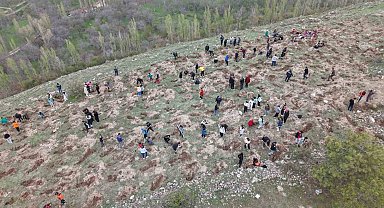 3 bin fidanı toprakla buluşturan büyükşehirden 'Gesi Ağaçlandırma Şenliği'