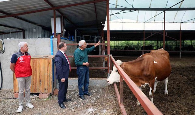 'Anneleri Aşılat, Buzağını Yaşat' projesi eğitim toplantısı Ortaca'da gerçekleştirildi